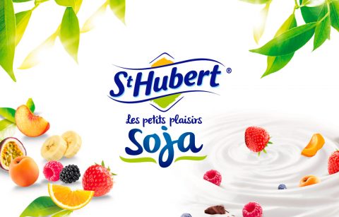 Saint Hubert